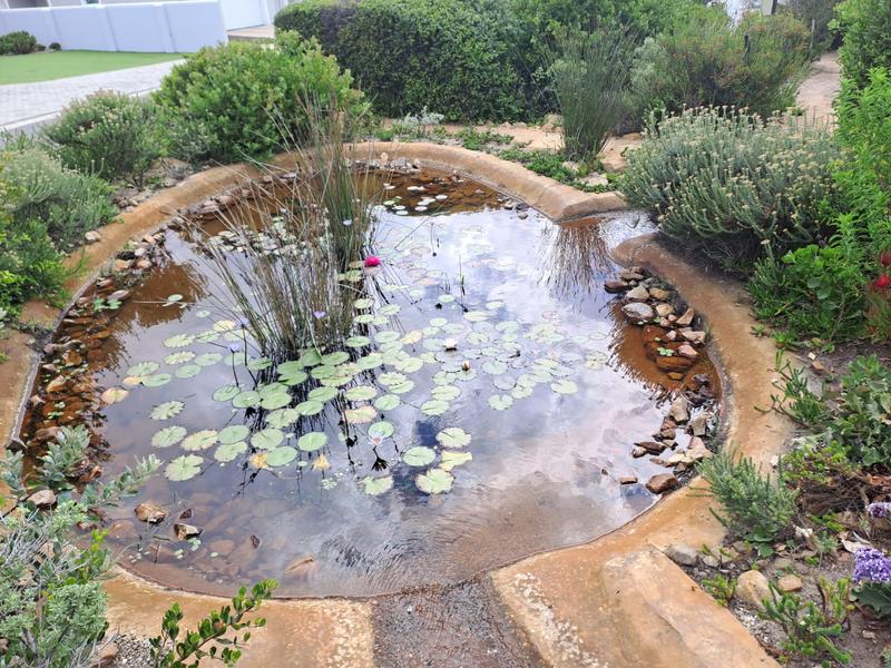 2 Bedroom Property for Sale in Westcliff Western Cape